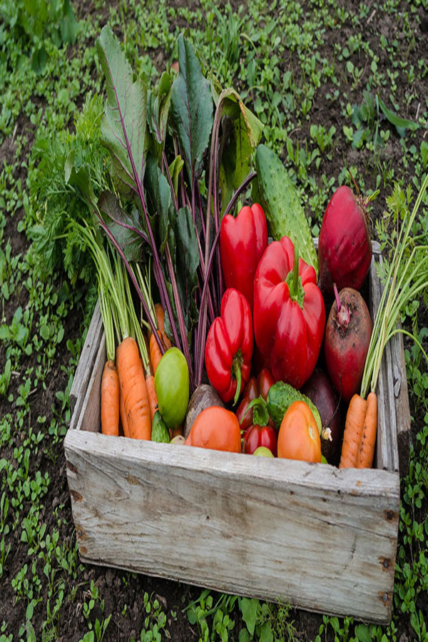 Agriculture Goods